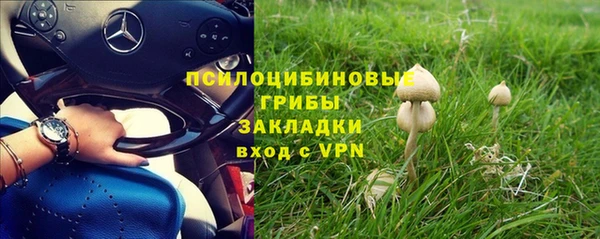 MESCALINE Волосово