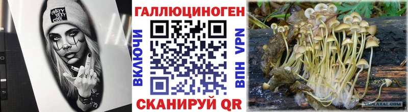 Купить закладки Белокуриха Псилоцибиновые грибы ЛСД
